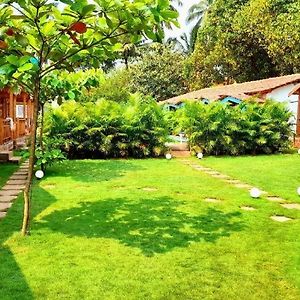 Standard Double or Twin Room Garden View